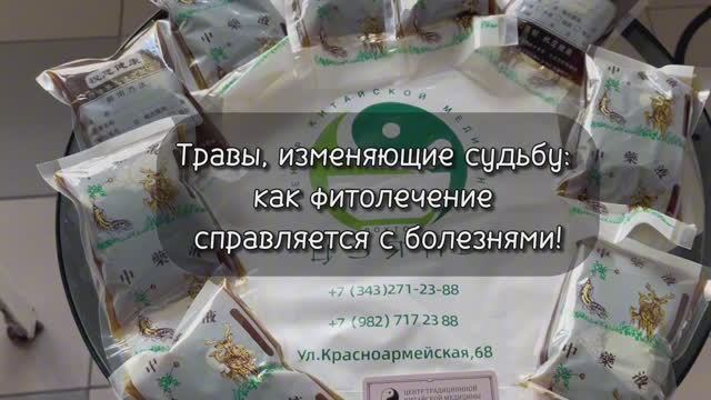 Травы изменяющие судьбу: как фитолечение справляется с болезнями!