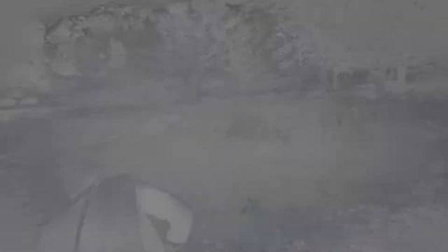 Red Dead Redemption 2 Прохождение на PS4 PRO (4K) #4 смотреть онлайн