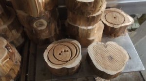 Подсвечники из реликтового можжевельника