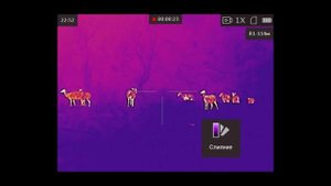 Тестирую тепловизоры Arkon. Обзор