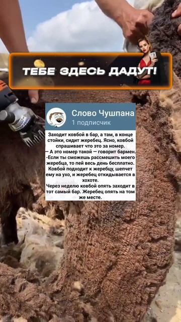 Ковбой 😂 #смешныешорты #анекдоты #анекдот #шутки #шорт смотреть онлайн