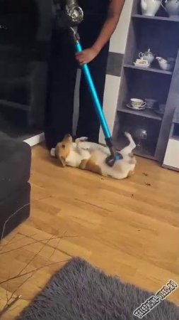 Люблю ЧИСТОТУ )))))