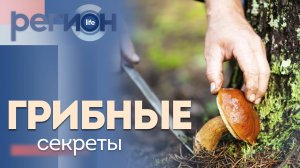 Регион LIFE | Грибные секреты | ОТС LIVE — прямая трансляция