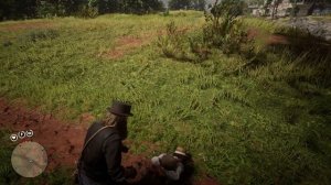 Воровство шляпы хозяина плантации | Red Dead Redemption 2