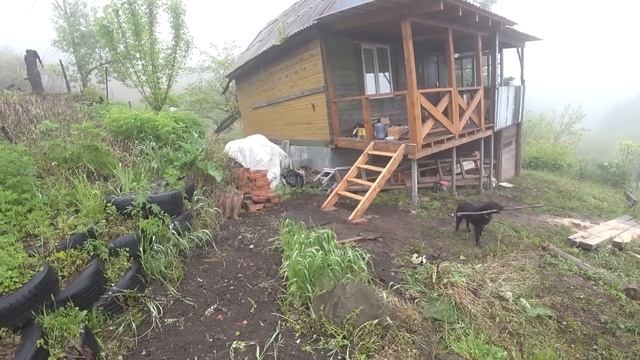 СТОЛЫЧ, КОГДА ЛЕСТНИЦА ? ПРОСТАЯ ЛЕСТНИЦА В ДОМ СВОИМИ смотреть онлайн