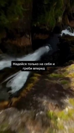 Законы жизни.