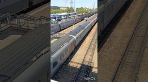 Бабушка идущая по путям 🤦♀пальмы в красноярске, помахала машинисту поезда 🤣