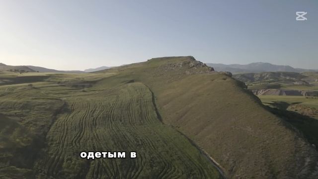 Её дочь исчезла в туалете торгового центра, а через 4 г?
