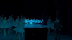 Денис Родькин, Алёна Ковалёва, Баядерка, Большой театр