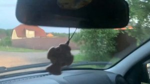 Лада Гранта!  Заскрипела ,загремела после полутора лет