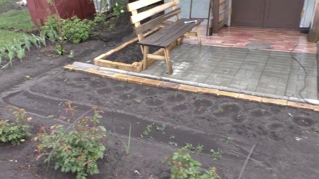 Мой участок 6 июня