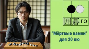 Игра го/вейци - учебный стрим для 20 кю.