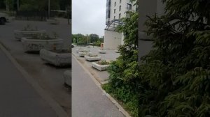 Квакание лягушек на последней минуте