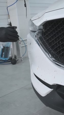 Как избежать ожогов на лкп после насекомых? #shorts #уходзаавто #авто