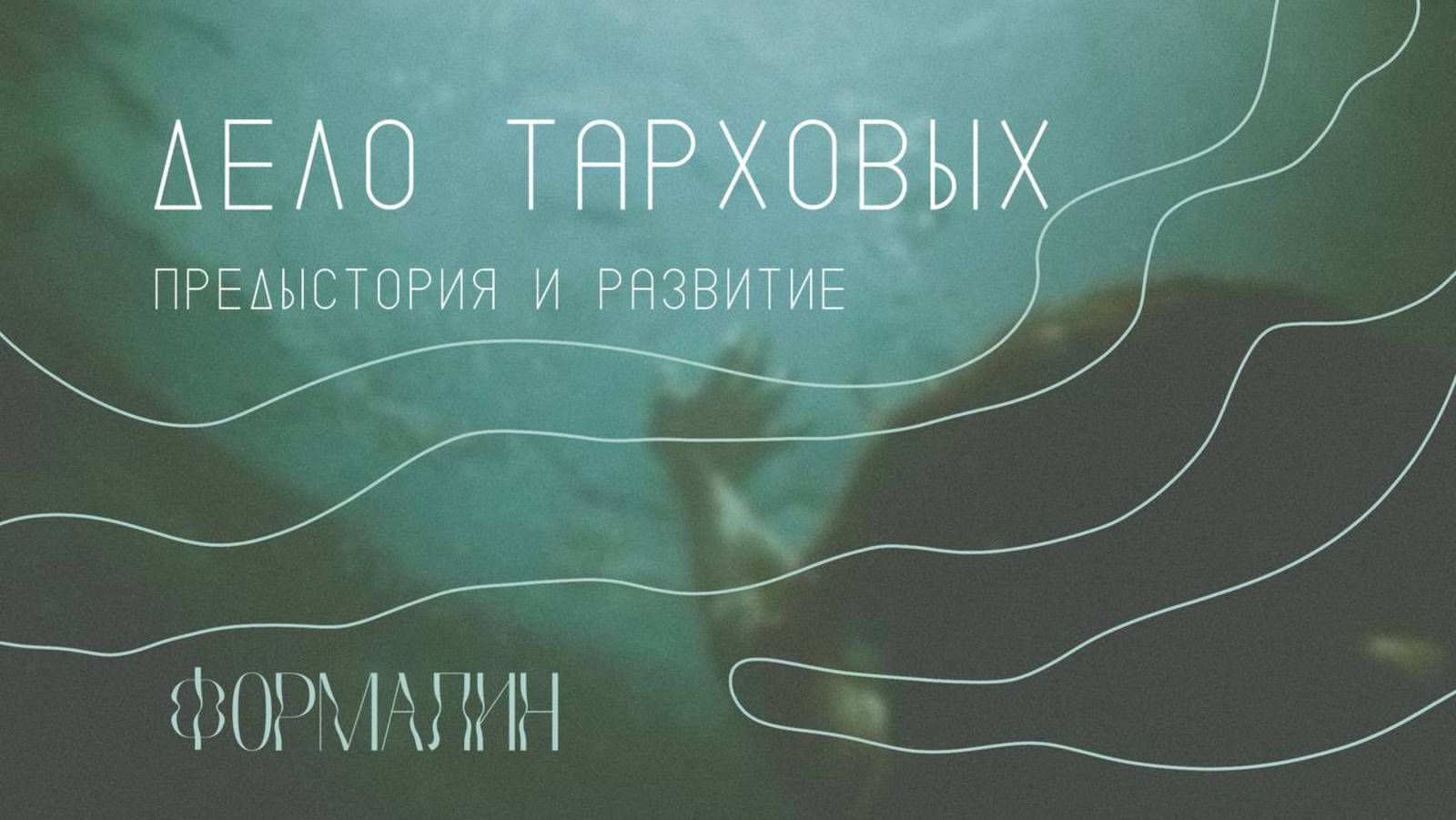 Дело Тарховых | История семьи и ход следствия