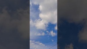 голуби Ломова