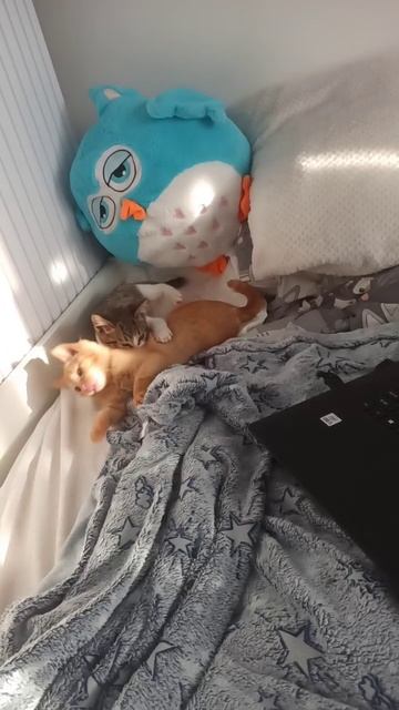 06-06-2025 смотреть онлайн