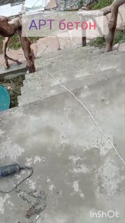 Не узнал?!