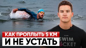 Как тренируются выносливые пловцы, чтобы проплыть 5 км — и как это повторить тебе?