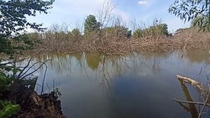 Рыбалка. Ловля карася на Червонных озерках