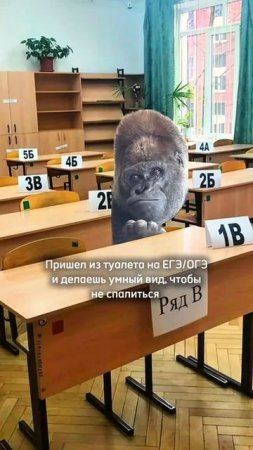 Забирай шпоры для повторения по ссылке в шапке профиля #егэ #огэ #умскул #онлайншкола