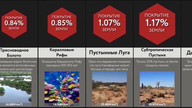 Сравнение_ Биомы Планеты