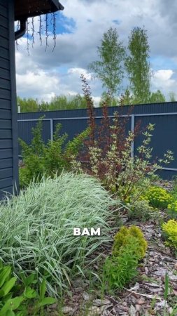 Как создать малоуходный сад на своем участке? Ландшафтный дизайн IN GARDEN SIBERIA