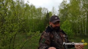 В ЛЕС ЗА ЛЕЧЕБНОЙ ТРАВОЙ/ СБОР ТРАВЫ ДЛЯ ЧАЯ/ ПРОГУЛКА ?