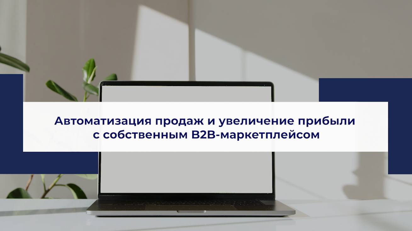 Автоматизация продаж и увеличение прибыли с собственным B2B-маркетплейсом