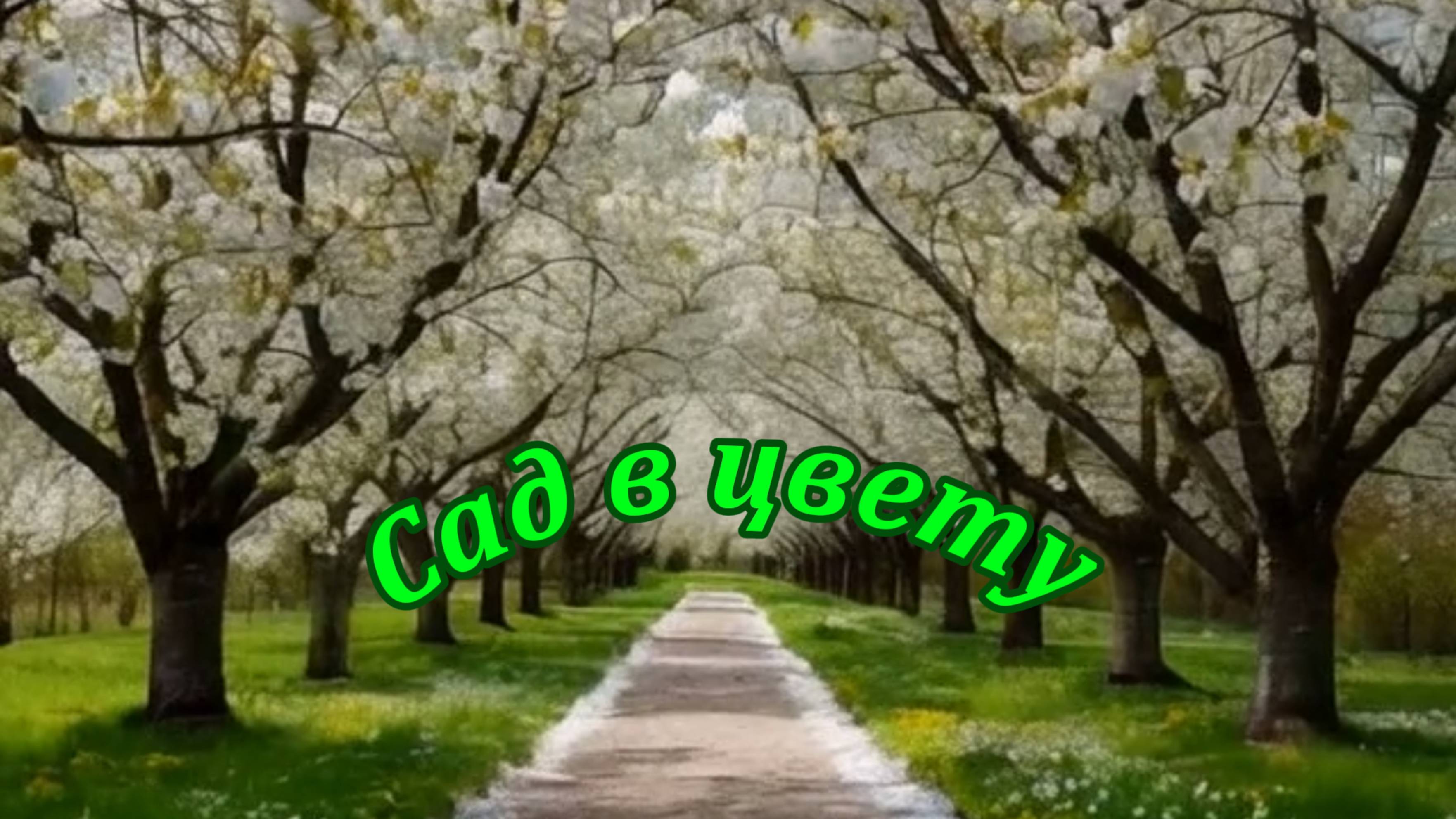 Сад в цвету. Музыкальный клип.