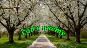 Сад в цвету. Музыкальный клип.