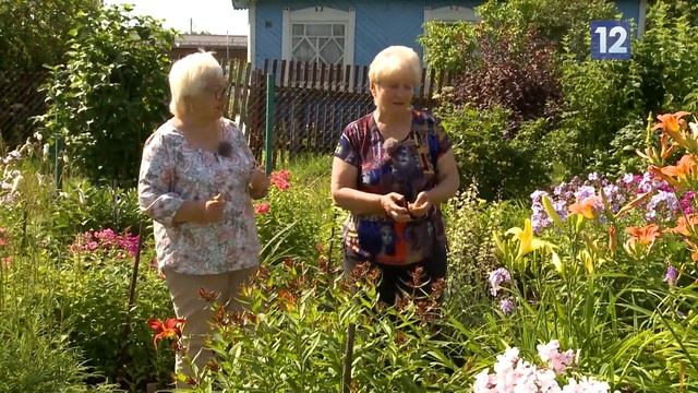 Дачные советы: цветочные грядки