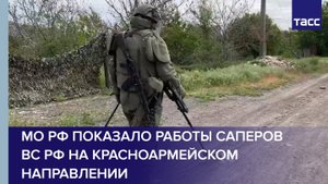 МО РФ показало работы саперов ВС РФ на красноармейском направлении