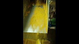 HAUS - Декантер DDI 5342 - Обезвоживание кукурузного глютена