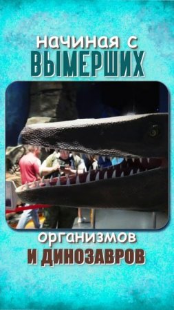 Это место во ВЛАДИВОСТОКЕ ДОЛЖЕН ПОСЕТИТЬ КАЖДЫЙ