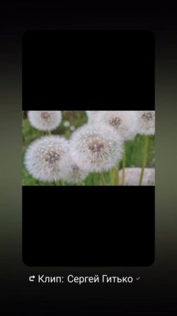 Обдуванчики