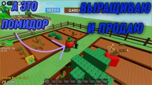 Выращиваю помидоры|Roblox
