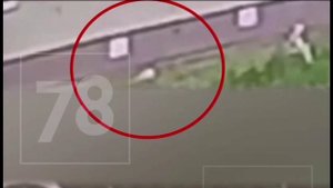 «Меня аж трясет!» — в Ленобласти школьница выбросила новорожденную из окна