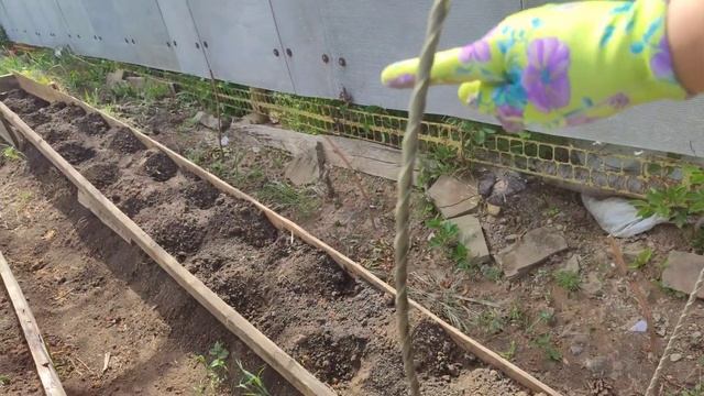 Сажаю всё! #огород #участок #рассада смотреть онлайн