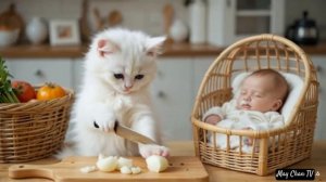 The Abandoned Baby and the Cat's Warm Home.#cat #cute #baby #ai