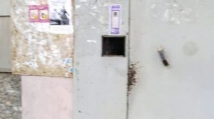 |Сняли домофон факториал| ул.50 Летия магнитки д.37