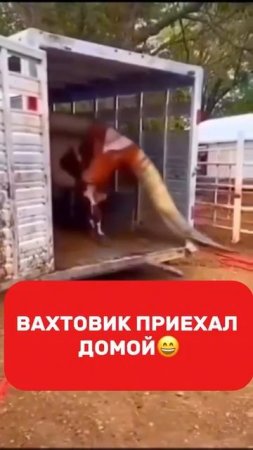 Приехал с вахты
