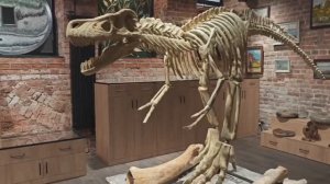 «ERA/Gallery Shop»