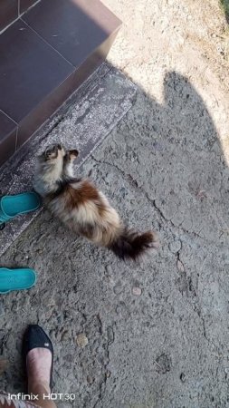 Красотка!