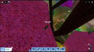 🕊️ ИГРАЕМ ЗА ЛИРОХВОСТА в Feather Family 🐦| Новая птица в Rob