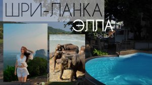 ВЛОГ 5 | ШРИ-ЛАНКА путешествие по ЭЛЛА | Пиннавела и Пидурангала | Часть 3