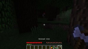 ЭТОТ ЖИТЕЛЬ ПОШЕЛ НОЧЬЮ В ЛЕС И НЕ ВЕРНУЛСЯ В МАЙНКАРФ?