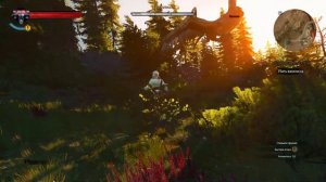 The Witcher 3: Wild Hunt (Хозяйки лесов, История Цири)