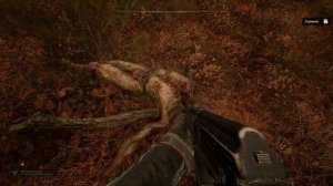 STALKER 2: Прохождение «Обратиться к Рихтеру за помощью в ?