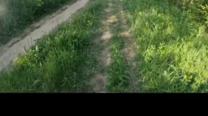 Покатушка на квадрике